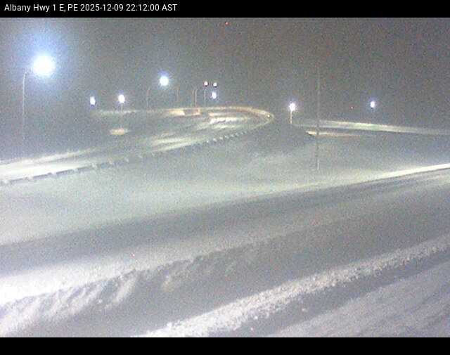 Web Cam image of Albany (Highway 1)
