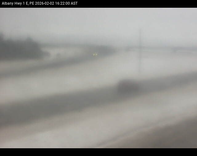 Web Cam image of Albany (Highway 1)