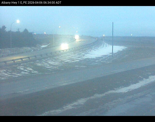 Web Cam image of Albany (Highway 1)