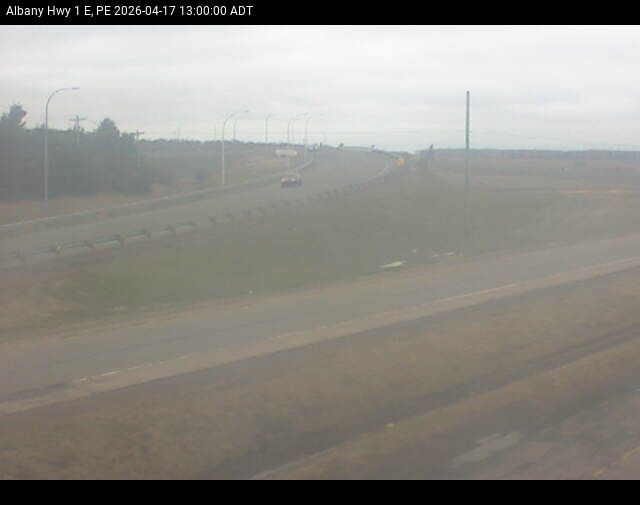 Web Cam image of Albany (Highway 1)