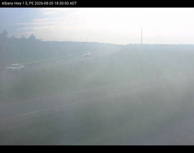 Web Cam image of Albany (Highway 1)